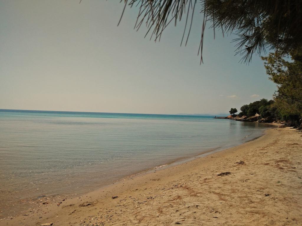 Moriel Seaside Homes Suites Elia Nikitis Exterior photo